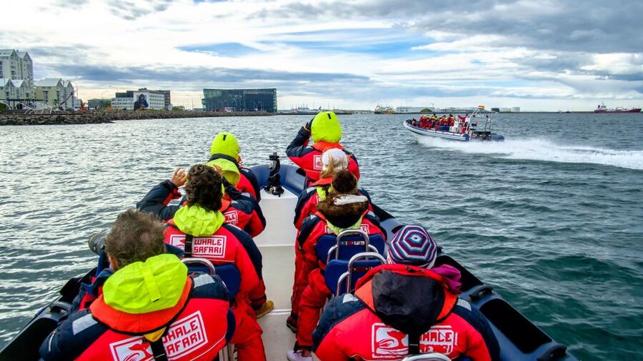 Reykjavik: Premium Whale Watching with Flexible Ticket - Should you book this whale safari?