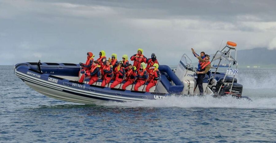 Reykjavik: Premium Whale Watching with Flexible Ticket - Summer puffins near the harbor