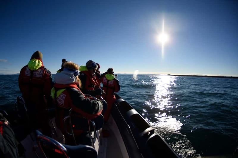 Reykjavik: Whale and Puffin Watching RIB Boat Tour - The boat ride is part of the attraction