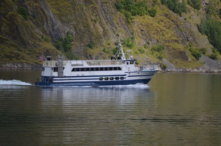 Reykjavik: Whale & Marine Adventure Tour - What the guide adds to the trip
