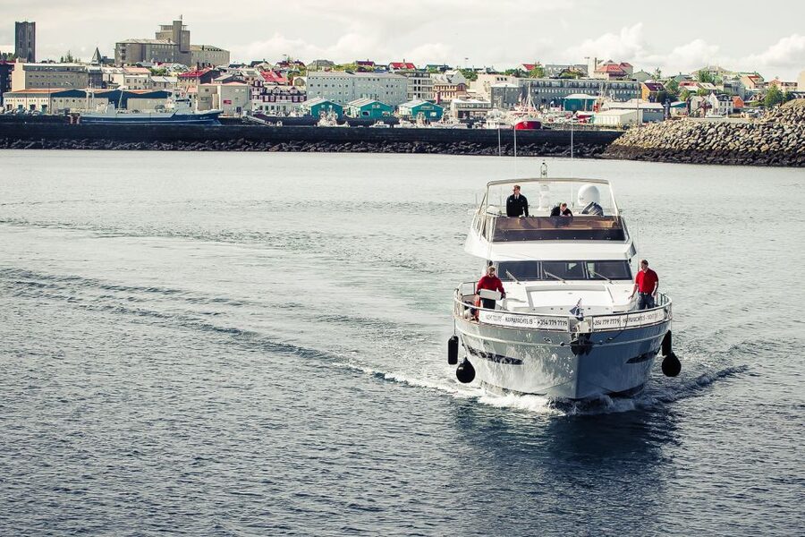Reykjavik: Whale Watching and Dolphin Watching Yacht Cruise - What the three-hour timing really means