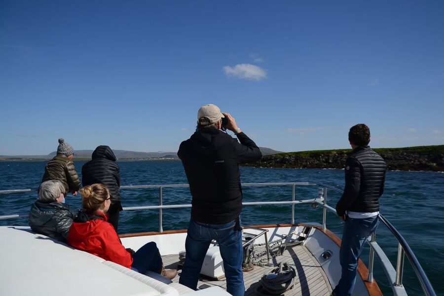 Reykjavik: Whale Watching and Dolphin Watching Yacht Cruise - Why the yacht setup matters