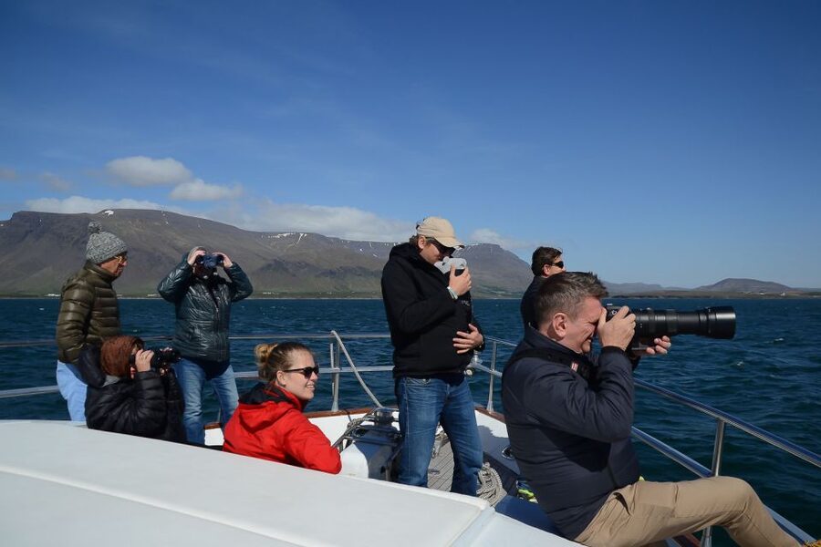 Reykjavik: Whale Watching and Dolphin Watching Yacht Cruise - Weather, sea conditions, and seasickness