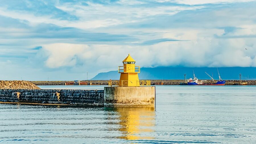 Reykjavík: Whale Watching and Marine Life Cruise - Should you book this Reykjavik whale cruise?