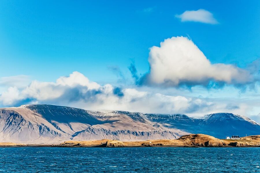 Reykjavík: Whale Watching and Marine Life Cruise - Leaving Reykjavik’s Old Harbour