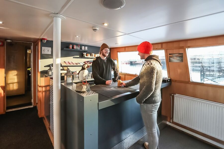 Reykjavík: Whale Watching and Marine Life Cruise - The cold is the main practical challenge