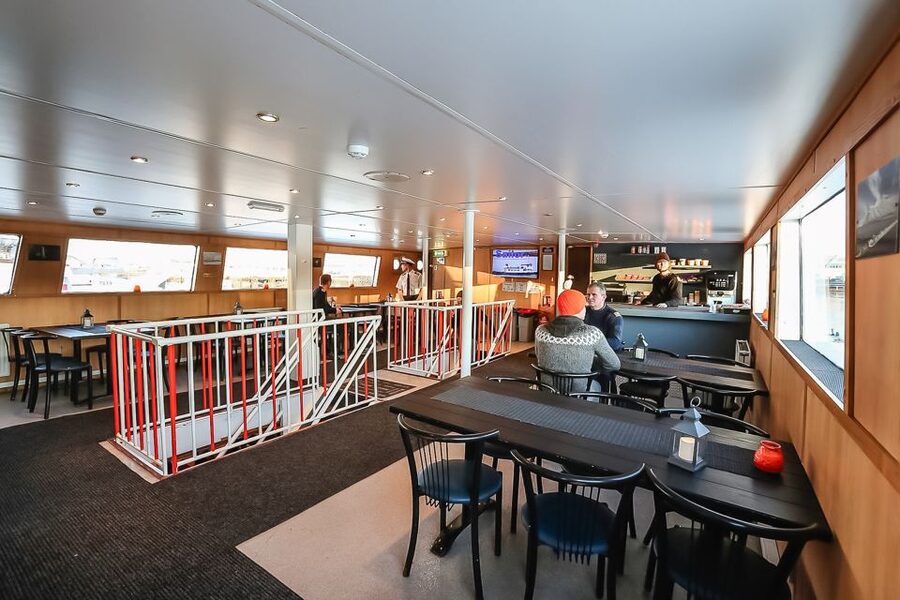 Reykjavík: Whale Watching and Marine Life Cruise - A responsible way to watch wild animals