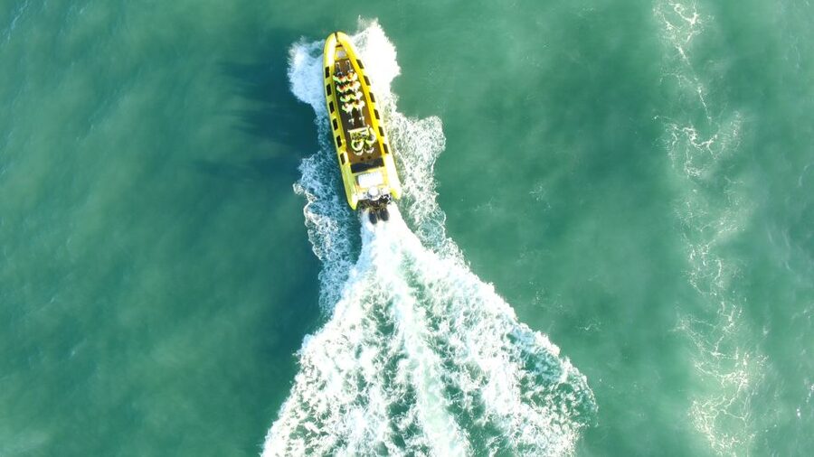 Reykjavik: Whale Watching by RIB Speedboat - Who should choose this tour?