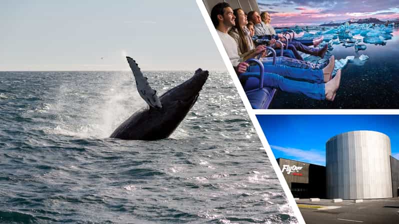 Reykjavík: Whale Watching Cruise and FlyOver Combo Ticket - Two very different ways to see Iceland