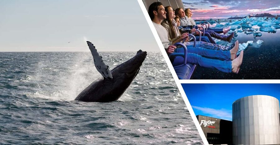 Reykjavík: Whale Watching Cruise and FlyOver Combo Ticket - Who will enjoy this combo most?