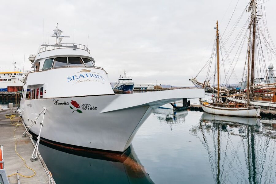 Reykjavík: Whale Watching Cruise on the Amelia Rose Yacht - The route through Faxaflói Bay