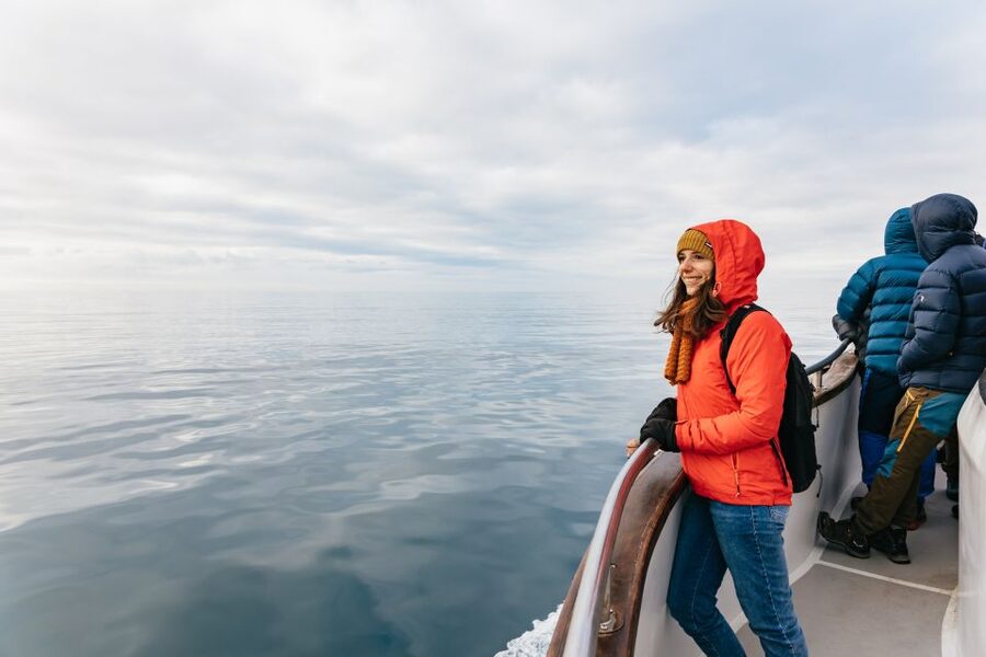 Reykjavík: Whale Watching Cruise on the Amelia Rose Yacht - What you may see from the decks