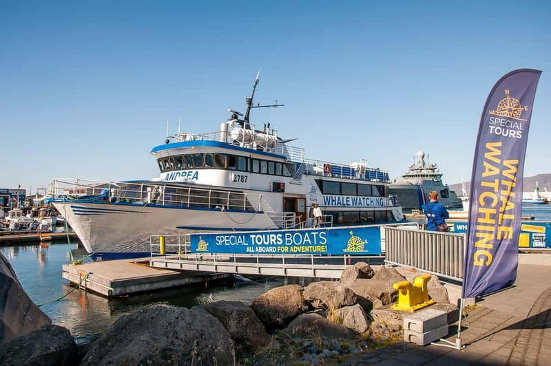 Reykjavik: Whale Watching Tour with Expert Guide - The guide turns a search into a lesson