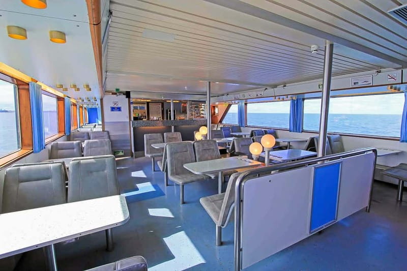Reykjavik: Whale Watching Tour with Expert Guide - Andrea’s comfort, café, and viewing decks