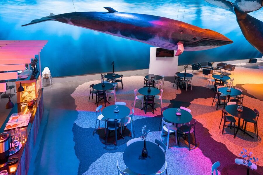 Reykjavik: Whales of Iceland Museum Entrance Ticket - How long should you plan for Whales of Iceland?