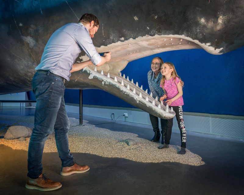 Reykjavik: Whales of Iceland Museum Entrance Ticket - Price, practical details, and comfort
