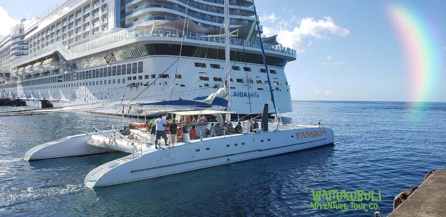 Roseau: Guided Dolphin and Whale Watching Tour With Drinks - The return to Roseau and the optional swim