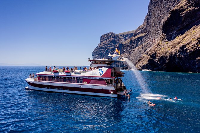 Royal Delfin - 4'5H Dolphin & Whale Watching - Los Gigantes Masca - Lunch & Swim - Is the $72.29 price fair?