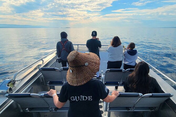 Salish Sea Whale Watching Tour in Campbell River - The possible beach landing