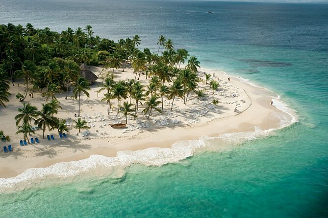 Samaná Experience Whale – The Lemon Waterfall & Bacardi Island - Swimming beneath El Limón