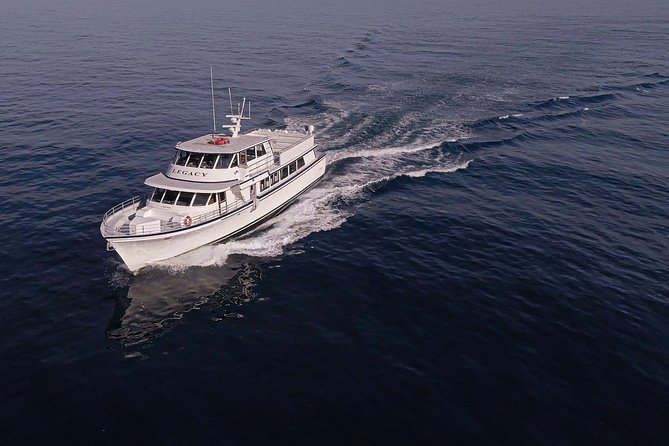 San Diego: 3 Hour Whale Watching Cruise - Key points before you book