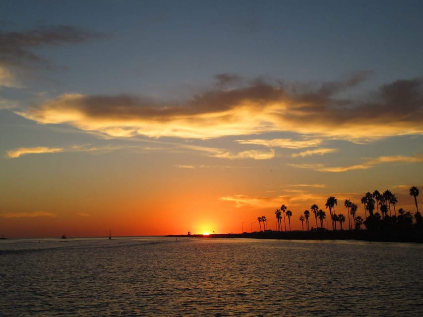 San Diego: Dolphin and Whale-Watching Sunset Cruise - Key points to know before booking
