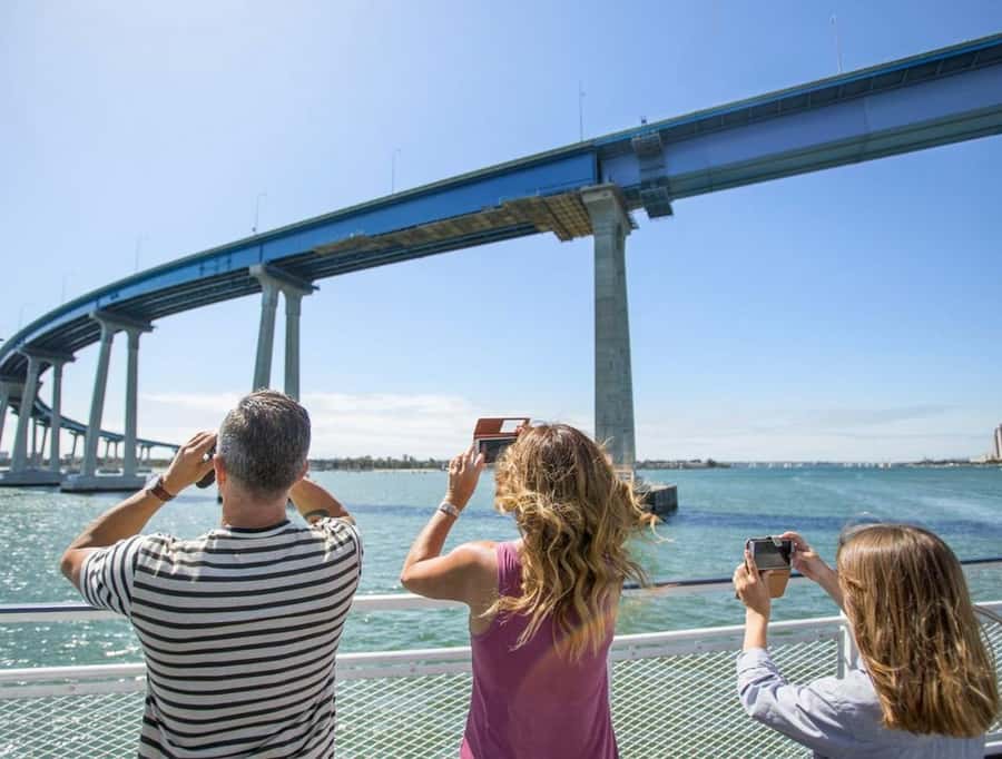 San Diego: Whale and Dolphin Watching Cruise - Searching for whales, dolphins, and smaller surprises