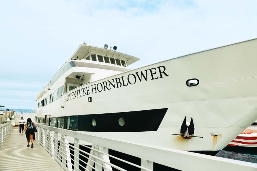 San Diego: Whale and Dolphin Watching Cruise - Is $77 a fair price?