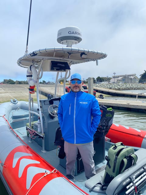 San Diego: Whale and Dolphin Watching Speedboat Tour - What you may see in each season