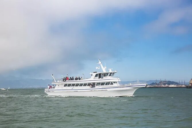 San Diego Whale/Dolphin Watching Cruise Aboard Luxury Vessel - Leaving H&M Landing aboard Peregrine
