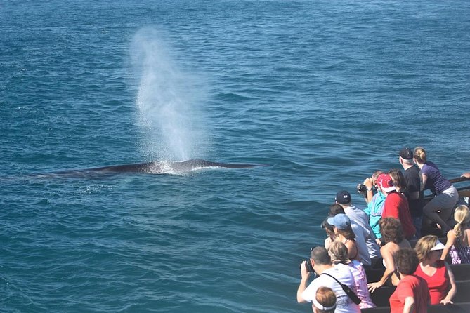 San Diego Whale Watching Cruise - Leaving San Diego Harbor for the open Pacific