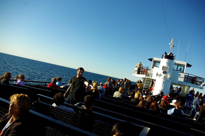 San Diego Whale Watching Cruise - What the naturalist adds to three and a half hours