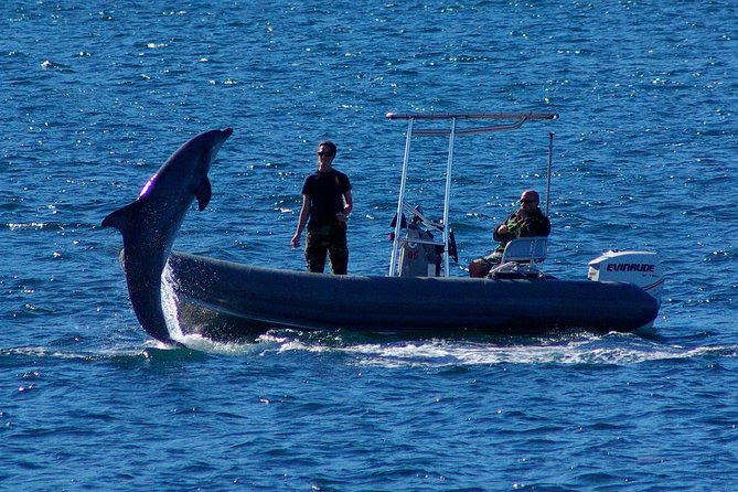 San Diego Whale Watching Cruise - Staying comfortable on a moving boat