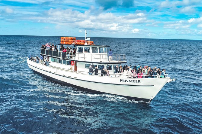San Diego Whale Watching & Dolphin Cruise - What the naturalists add