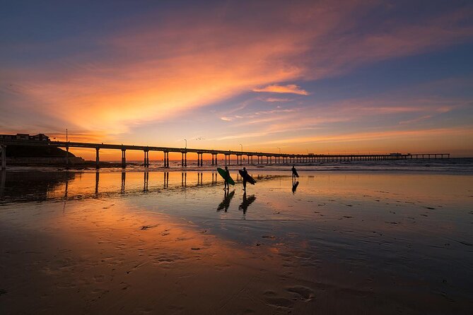 San Diego Whale Watching & Dolphin Cruise - Sunset Cliffs and the return route
