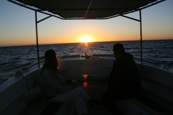 San Jose del Cabo Small-Group Sunrise Whale Watching - Meeting at Callejon Pez Sierra 5