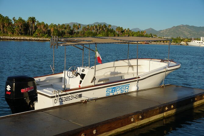 San Jose del Cabo Small-Group Sunrise Whale Watching - A small group changes the feel of the outing