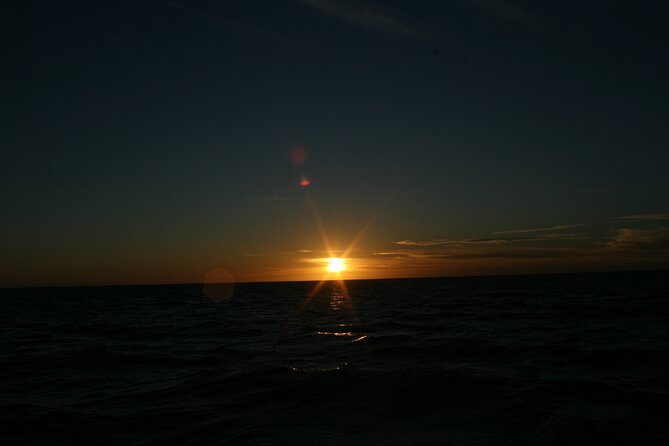 San Jose del Cabo Small-Group Sunrise Whale Watching - Who should book this sunrise outing