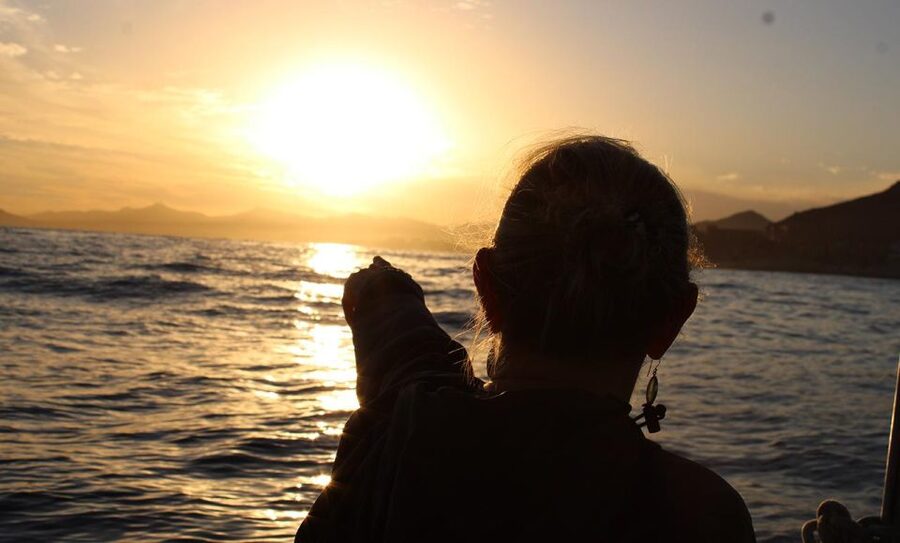 San Jose del Cabo Sunset Whale Watching - Meeting near Cafe El Puerto in San Jose del Cabo