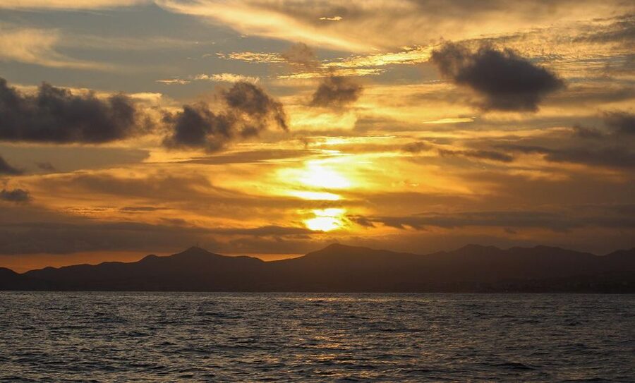 San Jose del Cabo Sunset Whale Watching - What the $100 price includes