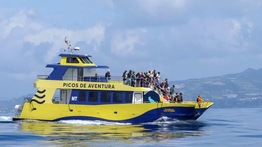 São Miguel: Whale-Watching Cruise with Marine Biologist - Key points at a glance