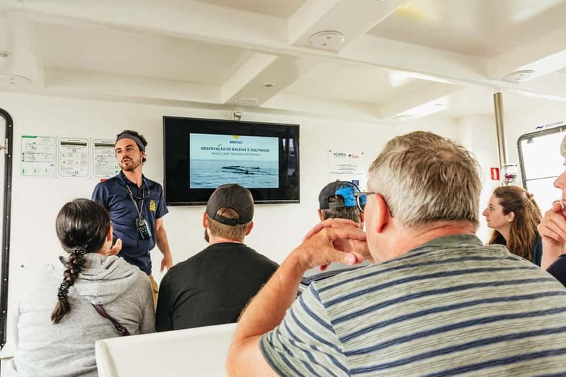 São Miguel: Whale-Watching Cruise with Marine Biologist - Timing, weather, and the best type of participant