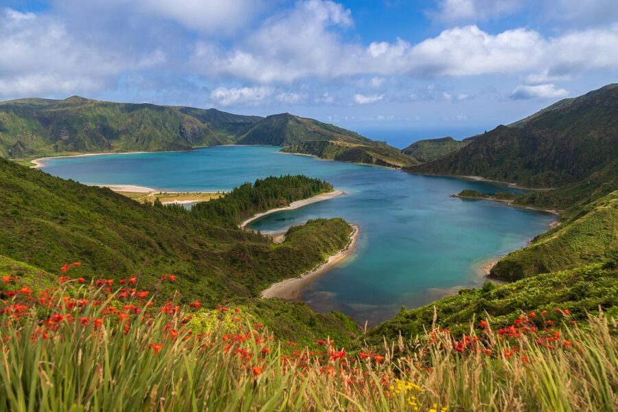São Miguel: Whales & Volcano Full-Day Tour with Lunch - Three hours searching the Atlantic