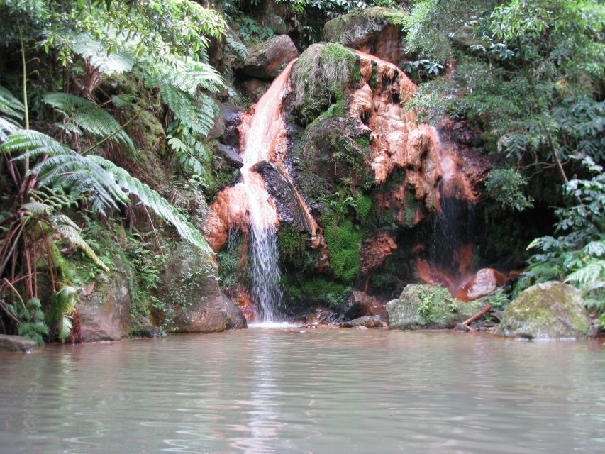 São Miguel: Whales & Volcano Full-Day Tour with Lunch - Extra stops and a flexible route