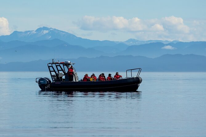 Sea Otter and Whale Watching Tour on Northern Vancouver Island - Who will enjoy this boat trip most?