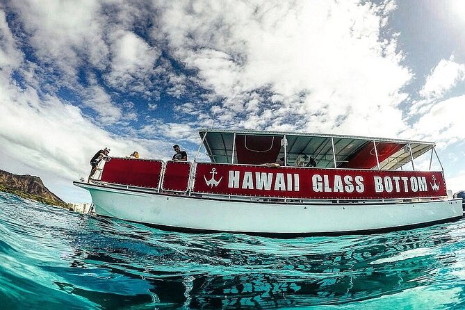 Sea Safari, Dolphins, Turtles and Waikiki Cruise - A short boat ride with a clear purpose
