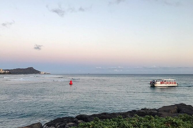 Sea Safari, Dolphins, Turtles and Waikiki Cruise - Wildlife: what you may and may not see