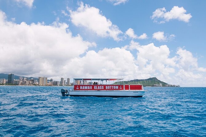Sea Safari, Dolphins, Turtles and Waikiki Cruise - The crew can make or break the hour