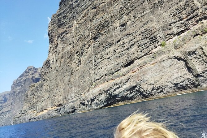 SEA SAFARI Dolphins, Whales, 3h speedboat DISCOVERY-TOUR - Families, older adults and mixed groups