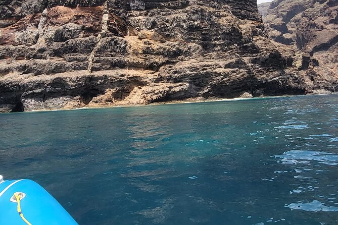 SEA SAFARI Dolphins, Whales, 3h speedboat DISCOVERY-TOUR - Is the Sea Safari worth booking?